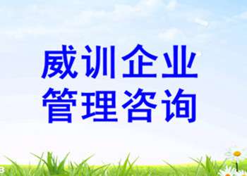 威訓(xùn)企業(yè)管理咨詢 專業(yè)企業(yè)形象策劃的卓越選擇